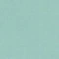 color gris claro